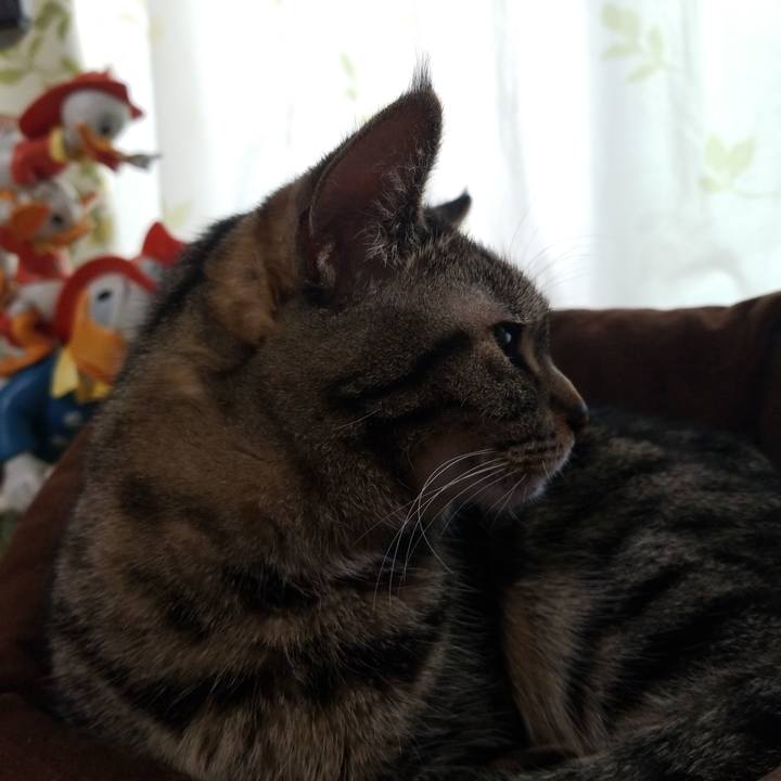 7dedc3e3 0be1 4149 b3ae affc4e85df4d 1588717605665