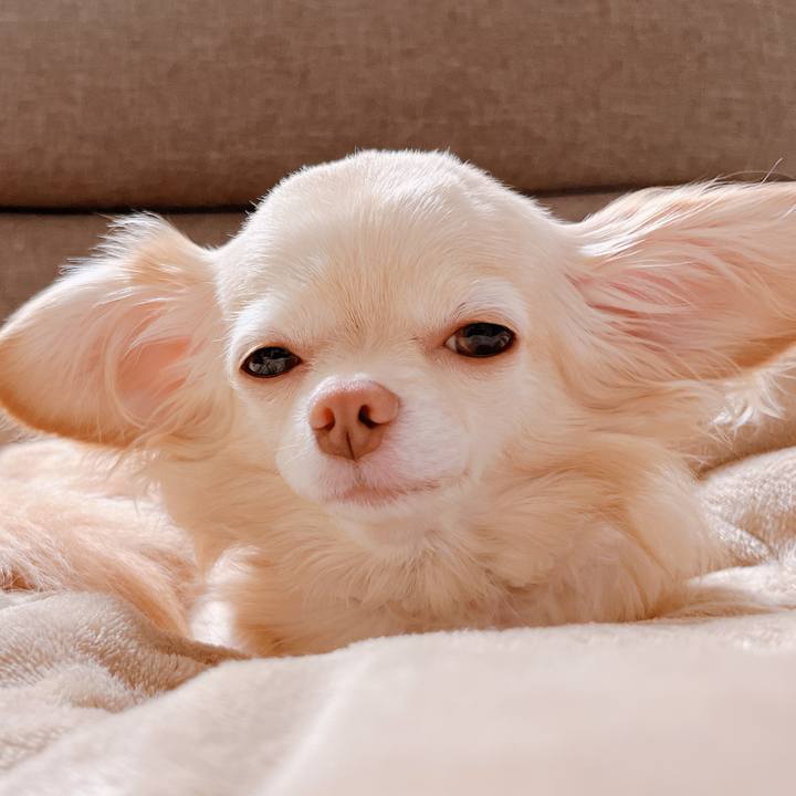 7dedd34a 462a 43a9 be5c 525b9e9b8d58 1662460853876