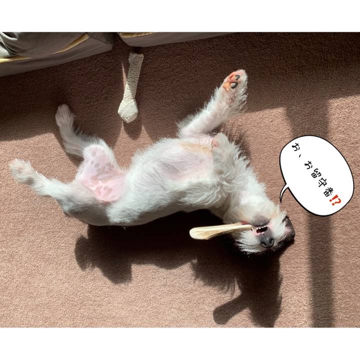 7dedd3b2 8edd 4985 8207 f58eeed23c64 1577855209053