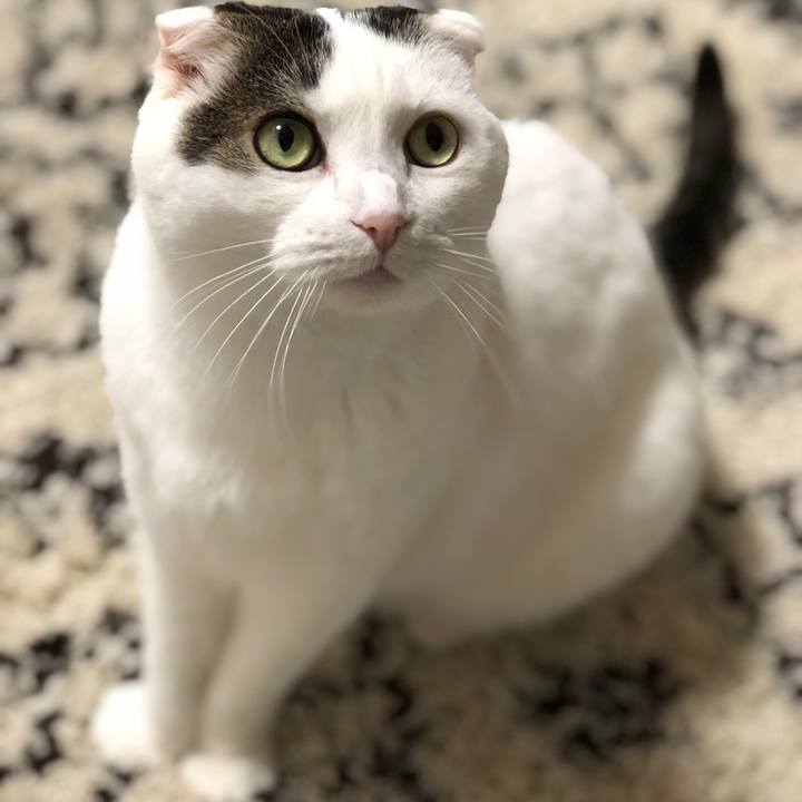 7dedf548 123b 4bdf 8ad4 76092f3961c2 1578017217151