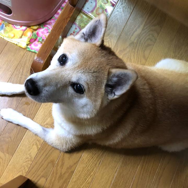 7dee0934 2dc8 4d13 bf7b 497d35beba63 1571568438206