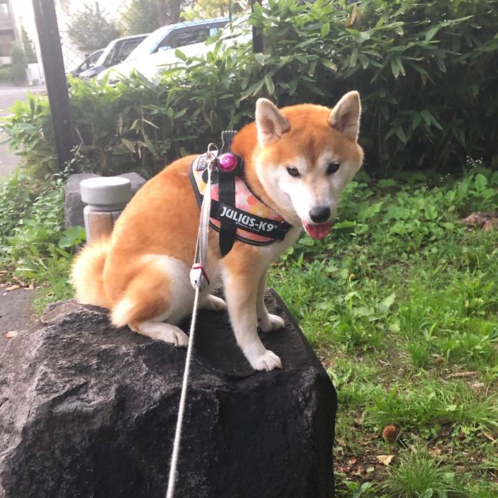 7dee1e8c 993a 4427 8706 d0542e92d749 1567939342238