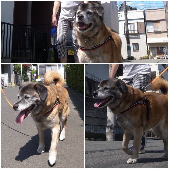 7dee29fd cca5 4190 a3ec 613c3f46c495 1606868292445