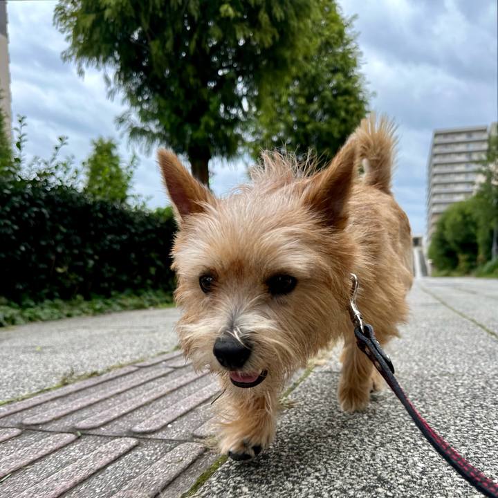 7dee3aa2 31f3 4252 90de c0d848bcf4b3 1730838202852