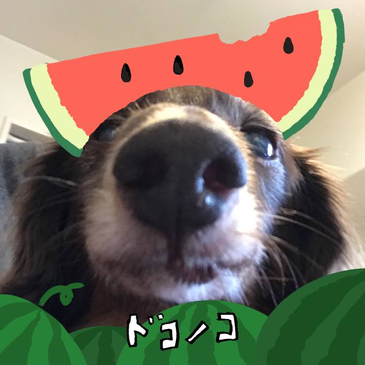 7dee511c 2082 4fd5 a3a0 3fc113b45eed 1721081637632