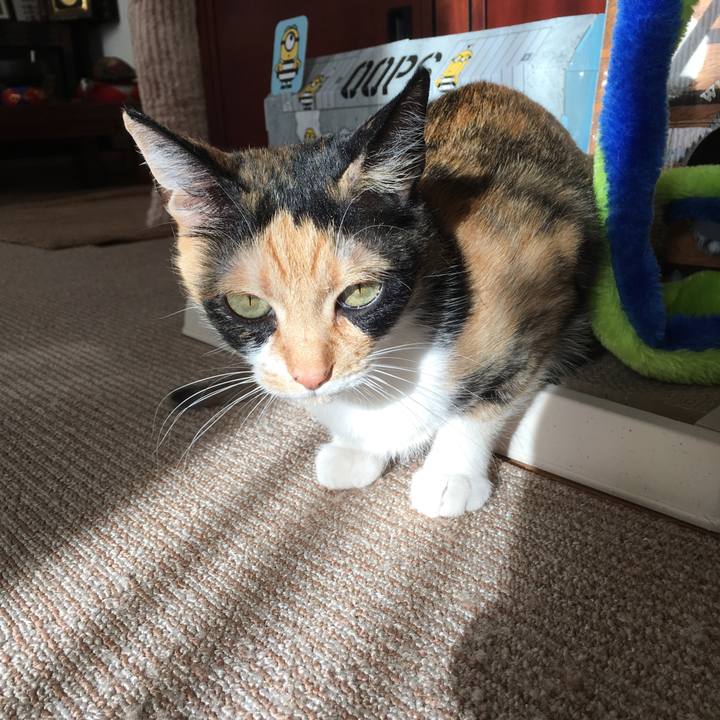 7dee561f 9cff 4ccd 9c1c 3ba7ae72874a 1518739252945