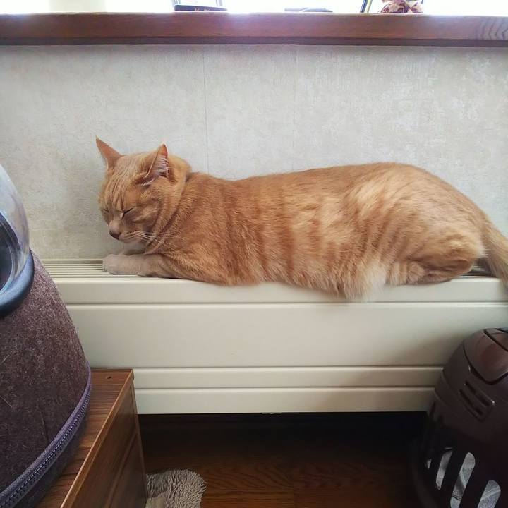 7dee5e86 52ee 45ab bf4a 91d7109eea8a 1619853591121