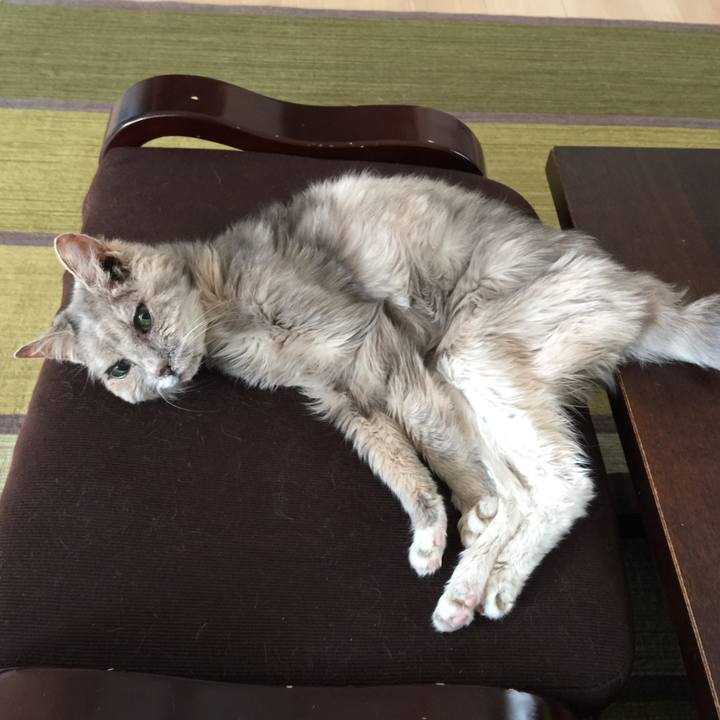 7deeb62f 9cee 42eb 95a3 af130dc86c75 1588991564315