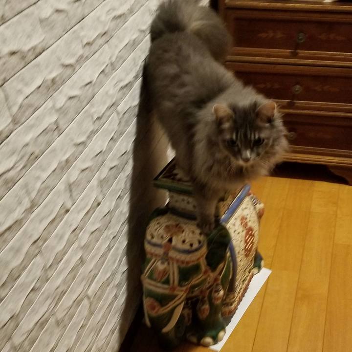 7deebd26 2285 436d 9747 b55bea4fb16b 1592128083739