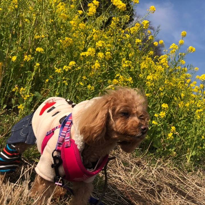 7deec759 e26c 4515 80db 33c6ecaa6190 1552281469212