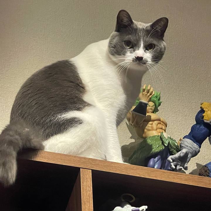 7deed319 1bbf 41ed b1a9 36055bf20fd8 1639921112353