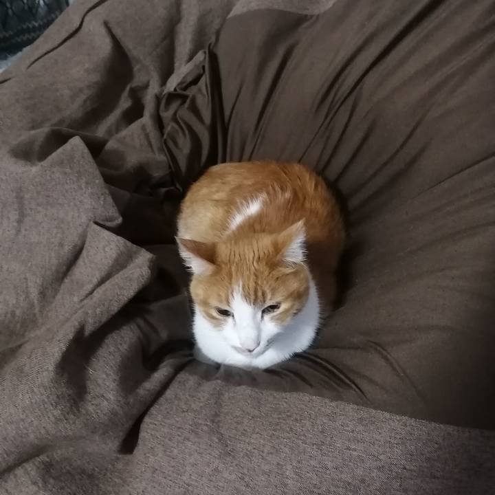 7deef4bd 8c07 4daf aaa2 1530cddab5df 1641940112048