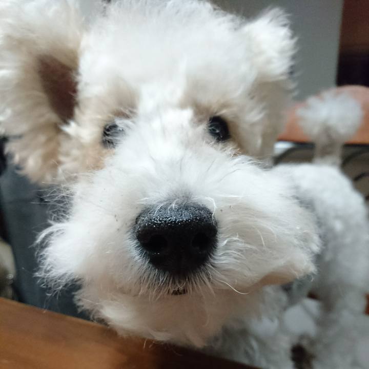 7deef986 eafb 4a60 846b 3ffb35f401d3 1521643543538