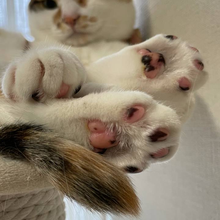 7def076a 94c0 412a ac8d 986b70aa3353 1630625808002