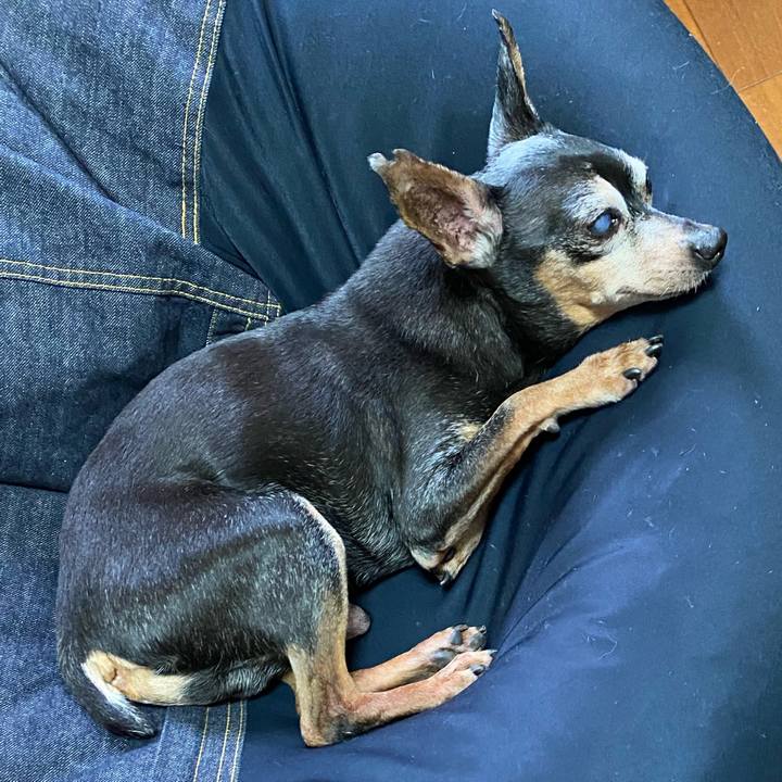 7def1028 d46c 4a20 8699 acd0a3e90b15 1589584122251