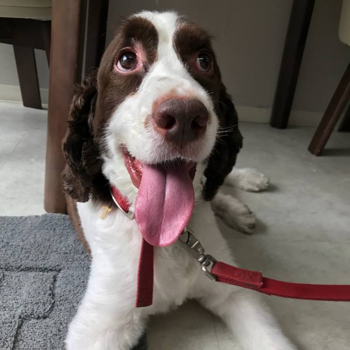 7def2176 e139 4b46 a2bb b0bd3b671789 1528774865212