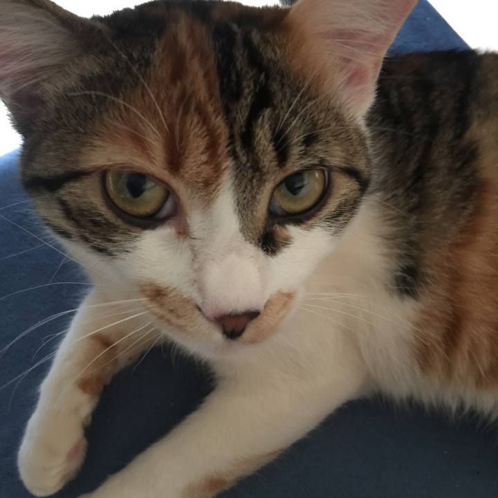 7def2a03 f4a5 473e 9374 9b594821216f 1647933199968