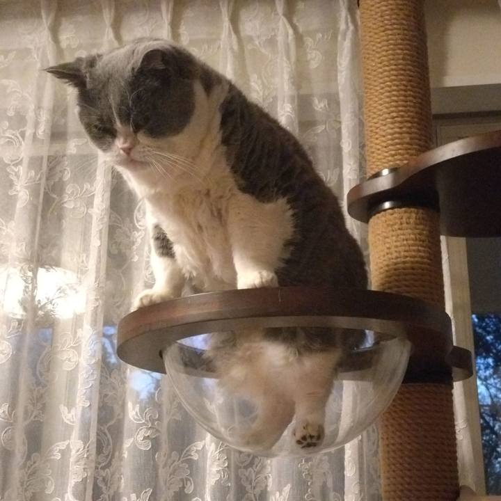 7def2e8d 6b30 43f8 b338 d9d18f9192fe 1772701543624