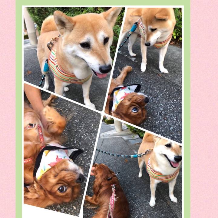 7def30b5 1dbf 482e a498 264fe16a8d42 1566126944115