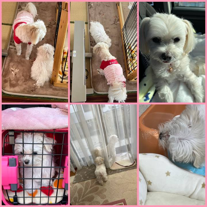 7def4449 0002 42aa 88a1 74ac3bb38a47 1702543627275