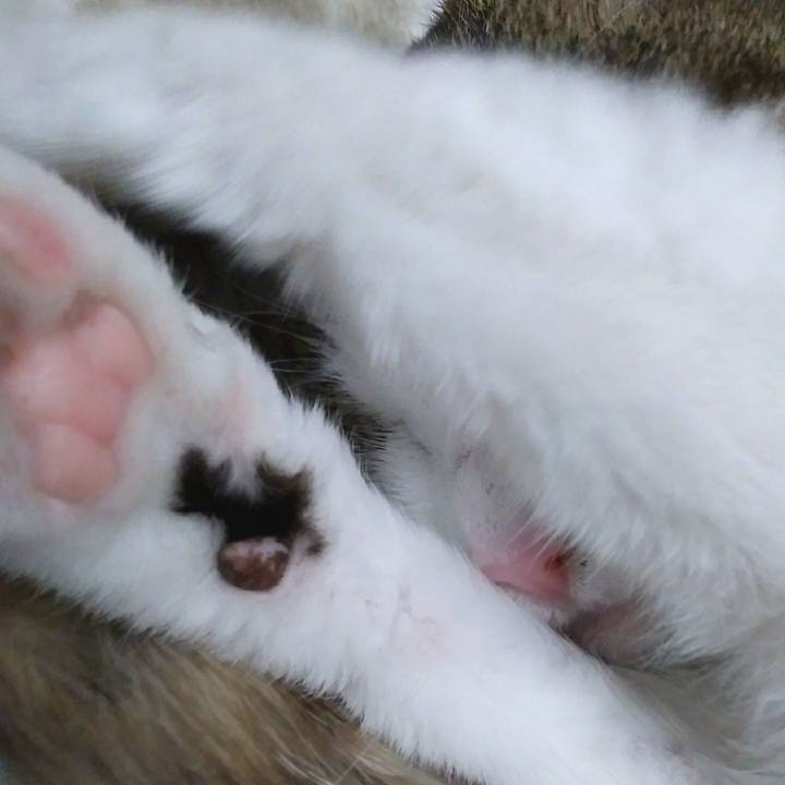 7def5713 7bbb 4618 9d80 b57d65b8ec05 1553164272815