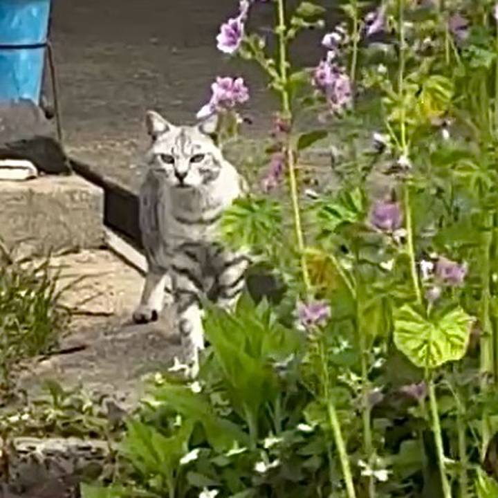 7def943f 8180 4225 a9e3 f37a2c6b6e10 1748522105107