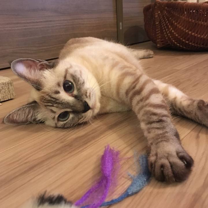 7defdc7d 2576 4e87 921b 8c71d4e24954 1569756597787