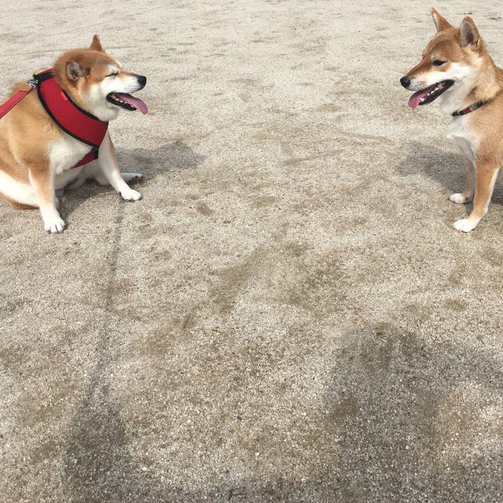 7defe363 98a4 47d1 a2e8 aae615e02583 1596095636239