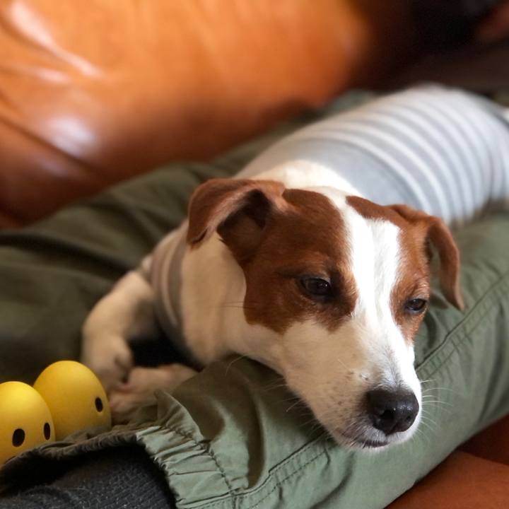 7deff226 6dc4 450e a987 fd044ef80c23 1620380462653