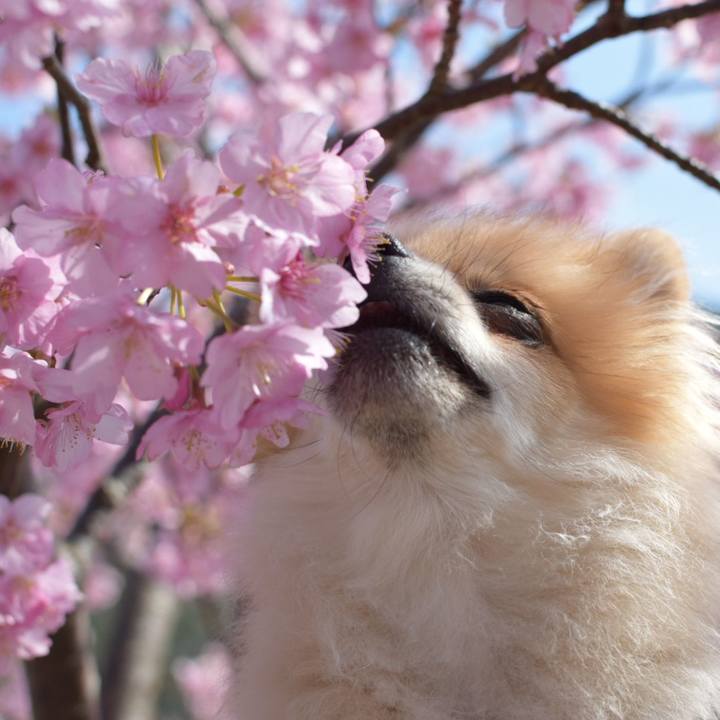 7df01772 cab2 455c b6fb be1e6bb4cff2 1520963696175