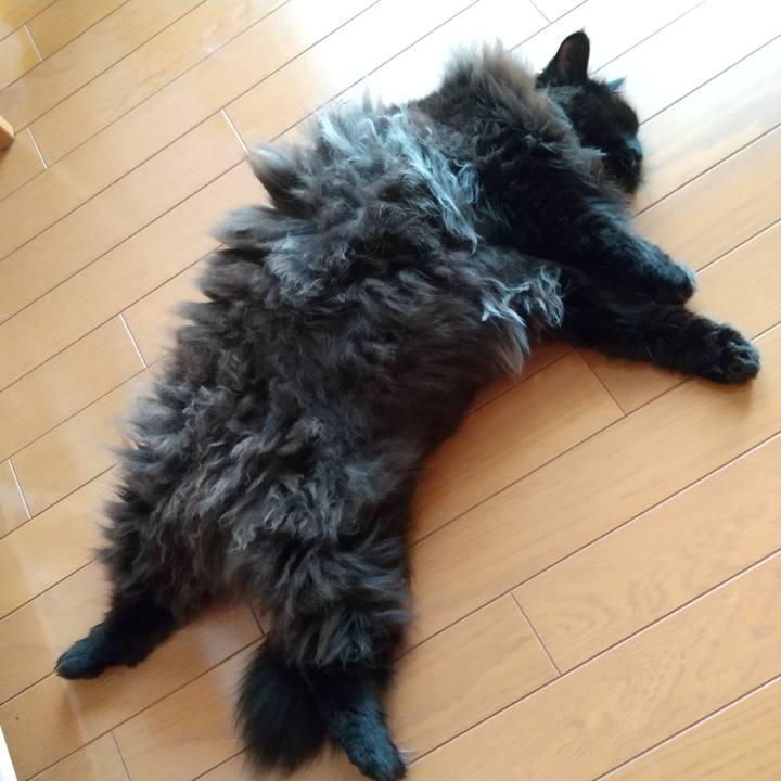 7df09041 8d6d 44bb bd8d 8f1a52a8138a 1663314748090