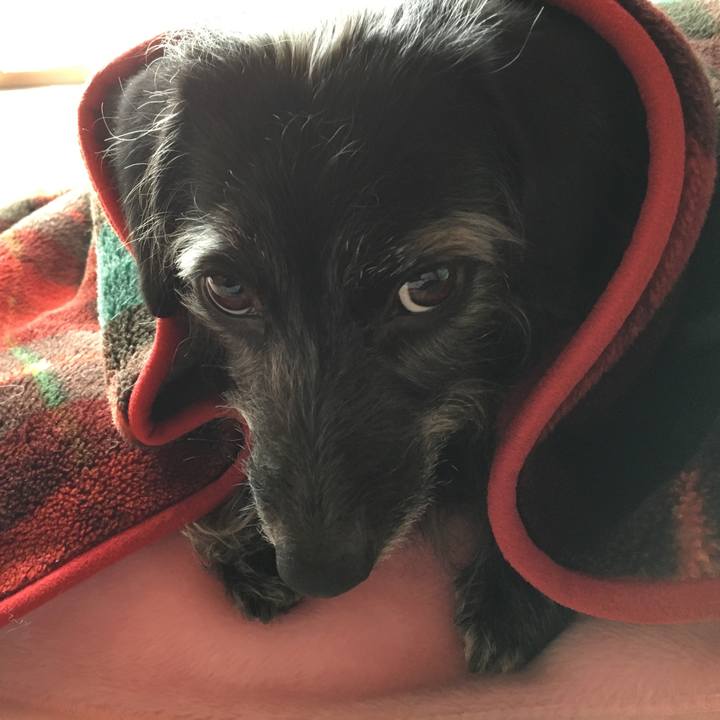 7df0b387 96a5 4d80 8da3 76a73d80b6ad 1519619523961