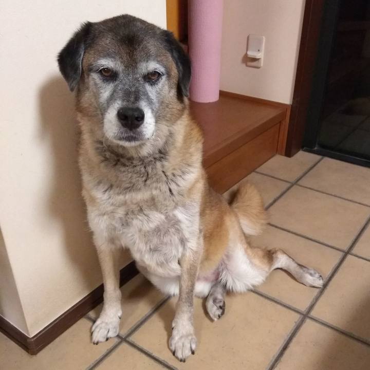 7df0b6b8 9859 438d a316 e506beb9d5f5 1566431405817