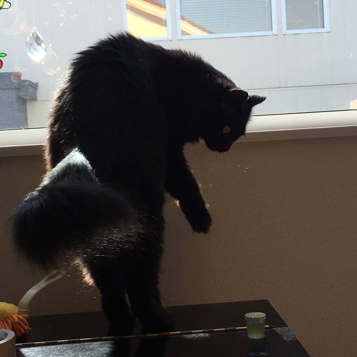 7df0e366 81d2 4bca b393 bd20549ad18e 1560910561052