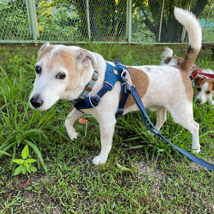 7df10179 9821 45c2 816e 75b315b3b342 1657148723625