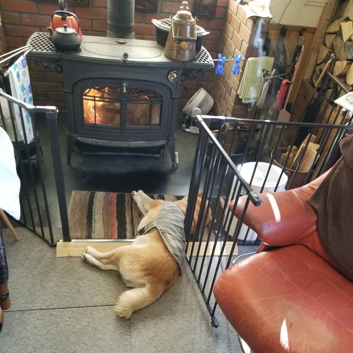 7df110e0 861b 4bdd b52d 2d8b44c0ab35 1648854607897