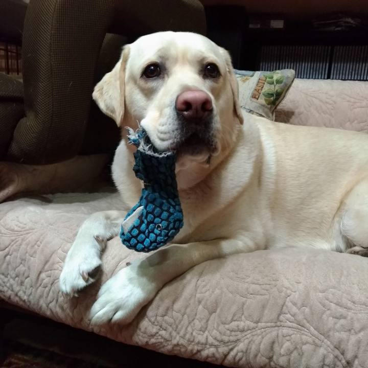 7df11ab7 33f1 444a a656 35b4a7aae365 1553687763095