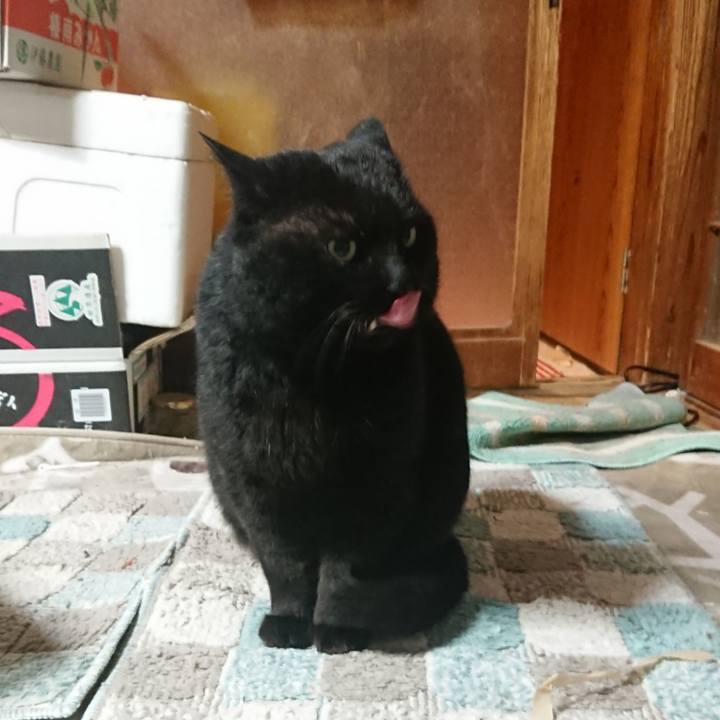 7df13eac 1d6f 45ec bd28 4a6ed4103ace 1646051398202