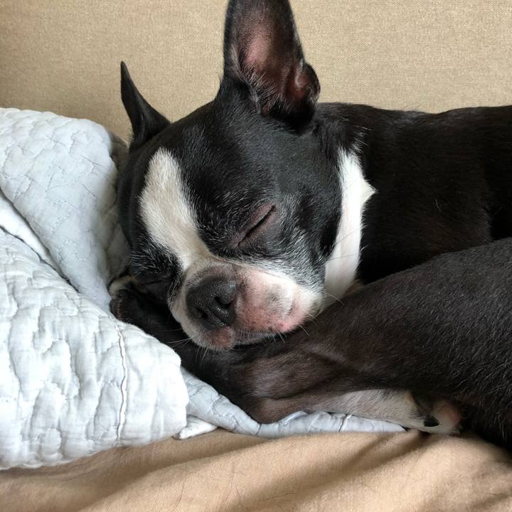 7df15a31 60bb 458c 9af3 c94fb6ca0518 1659678227696