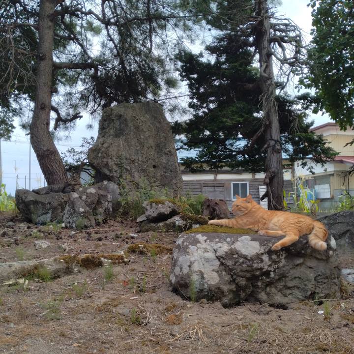 7df175b1 151b 4fd3 b7f4 581a2e2b89dd 1692262597767