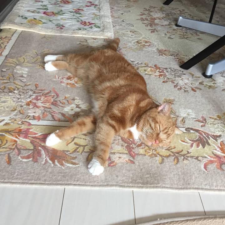 7df1b331 83de 4cb4 859e 7981bea5284d 1564795749878