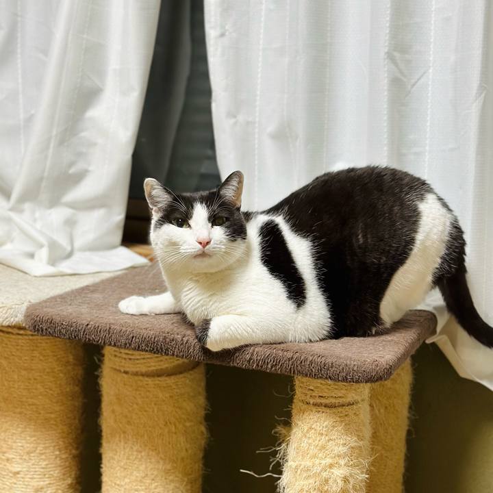 7df1c778 520c 42fa 97dd fd3ac832e0e6 1673571651655