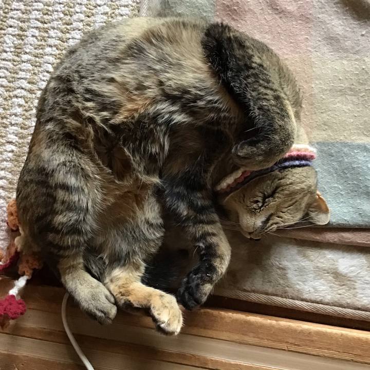 7df1d657 5d69 4a90 af4b c09c3a6fb8d8 1618463913987