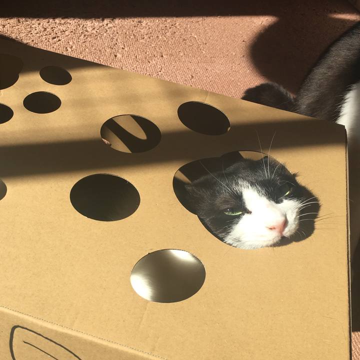 7df208db 3259 4ef4 9d7e abba95bb2445 1518485968158