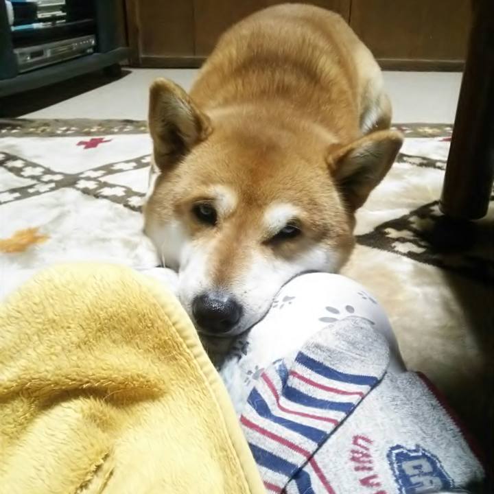 7df22f19 bbc0 4691 8690 f324b1de081a 1517481032651