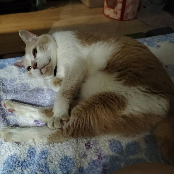 7df236cd 1817 4d9e a3fa 460eb589b7d2 1658058543401