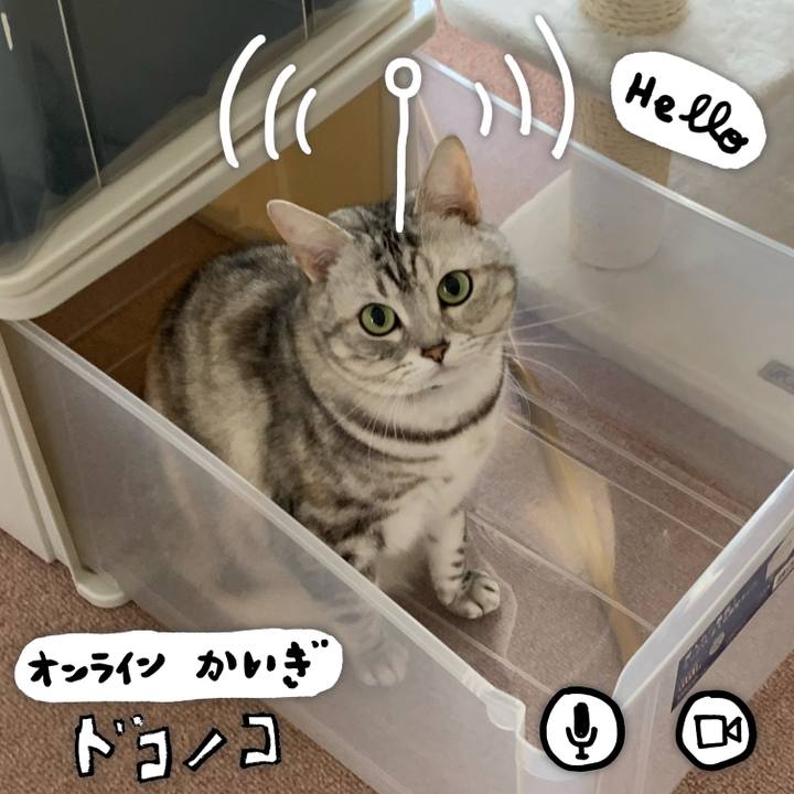 7df24c21 d7f0 4780 80ad 205b67421eaf 1590726753901