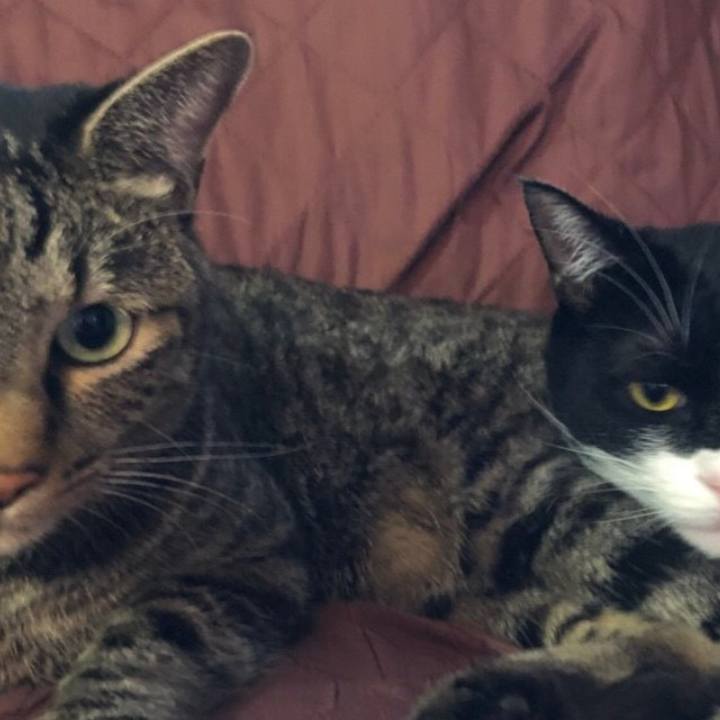 7df295d5 46d1 4732 b475 da9deecf441e 1544104382006