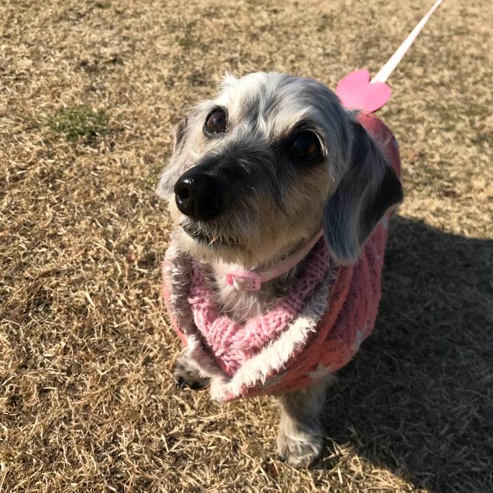 7df2c840 cbd8 459c 9b98 479a75dbfa6d 1514354233846