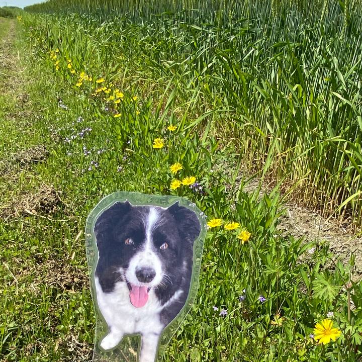 7df2e6c3 9f74 4397 b028 4c5f4370db11 1745720012256